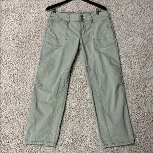 Pilcro The Wanderer pants in Pale Green